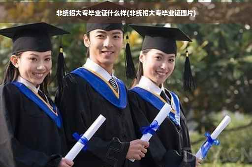 非统招大专毕业证什么样(非统招大专毕业证图片) 非统招大专毕业证什么样(非统招大专毕业证图片)