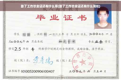 除了工作毕业证还有什么用(除了工作毕业证还有什么用处)
