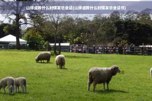 山师成教什么时候发毕业证(山师成教什么时候发毕业证书)