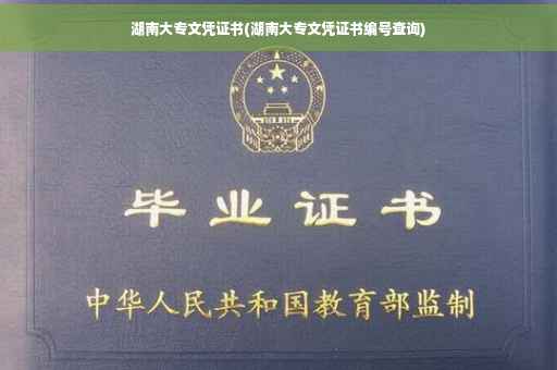 湖南大专文凭证书(湖南大专文凭证书编号查询)