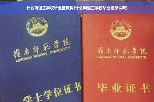 什么叫退工学校毕业证原件(什么叫退工学校毕业证原件呢)