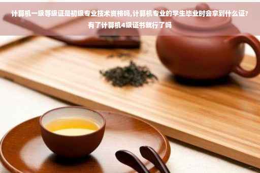 计算机一级等级证是初级专业技术资格吗,计算机专业的学生毕业时会拿到什么证?有了计算机4级证书就行了吗