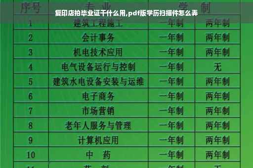 复印店拍毕业证干什么用,pdf版学历扫描件怎么弄
