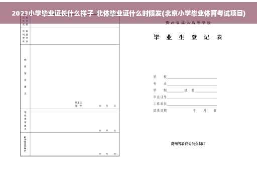 2023小学毕业证长什么样子  北体毕业证什么时候发(北京小学毕业体育考试项目)