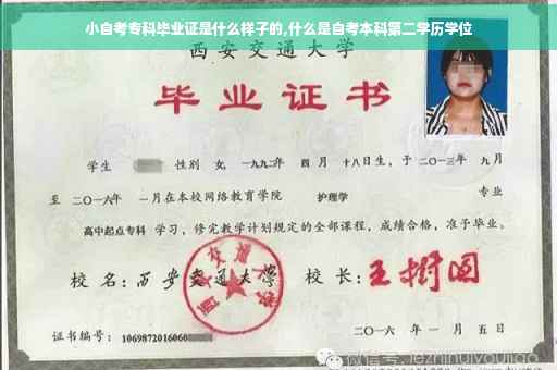 小自考专科毕业证是什么样子的,什么是自考本科第二学历学位