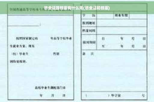毕业证跟档案有什么用(毕业证和档案)