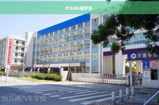 什么叫v圈毕业-