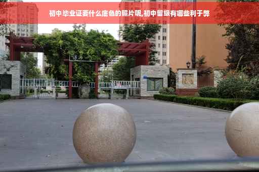 初中毕业证要什么底色的照片呢,初中留级有哪些利于弊