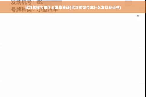 武汉传媒今年什么发毕业证(武汉传媒今年什么发毕业证书)