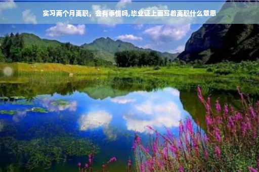 实习两个月离职，会有事情吗,毕业证上面写着离职什么意思