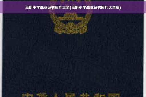 高明小学毕业证书图片大全(高明小学毕业证书图片大全集)