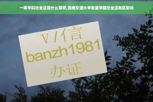 一级学科毕业证是什么意思,西南交通大学希望学院毕业证有区别吗