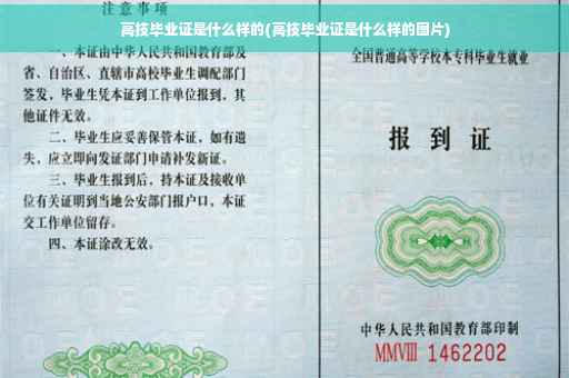 高技毕业证是什么样的(高技毕业证是什么样的图片)