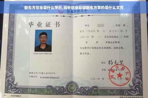 新东方毕业算什么学历,高中毕业后读新东方拿的是什么文凭
