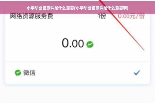 小学毕业证原件是什么意思(小学毕业证原件是什么意思啊)
