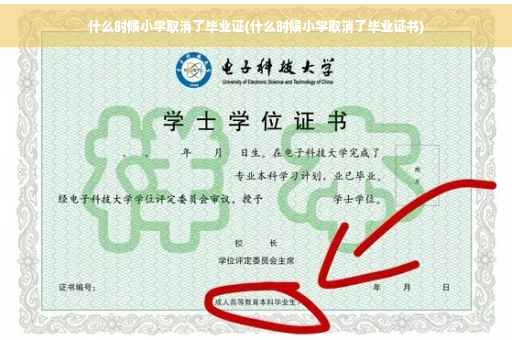 什么时候小学取消了毕业证(什么时候小学取消了毕业证书)