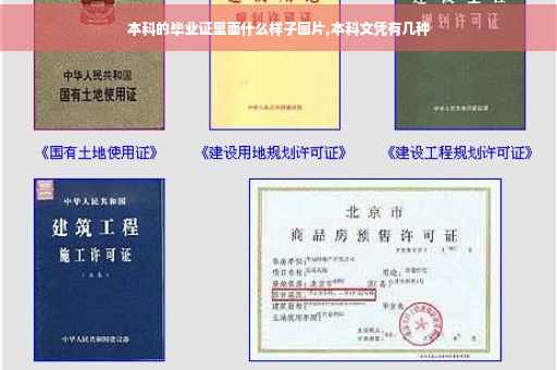 本科的毕业证里面什么样子图片,本科文凭有几种