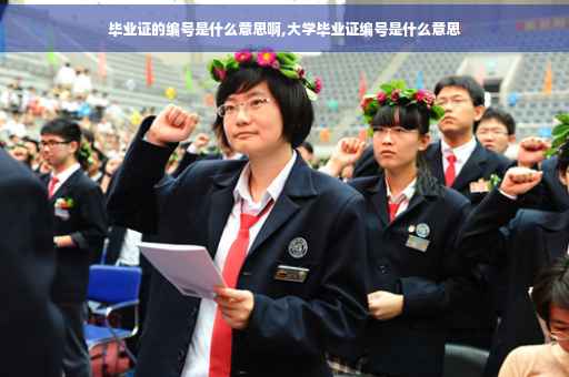 毕业证的编号是什么意思啊,大学毕业证编号是什么意思