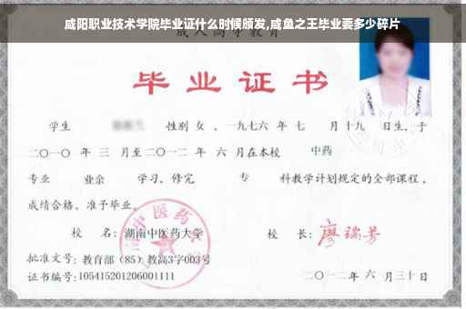 咸阳职业技术学院毕业证什么时候颁发,咸鱼之王毕业要多少碎片
