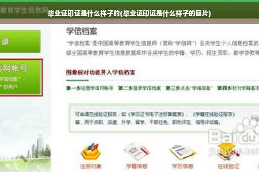 毕业证印证是什么样子的(毕业证印证是什么样子的图片)