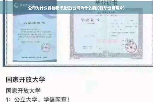 公司为什么要拍我毕业证(公司为什么要拍我毕业证照片)