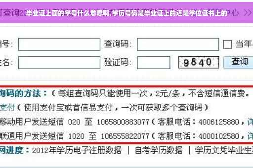 毕业证上面的学号什么意思啊,学历号码是毕业证上的还是学位证书上的