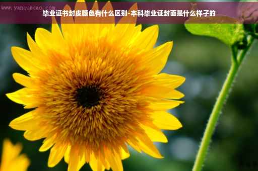 毕业证书封皮颜色有什么区别-本科毕业证封面是什么样子的