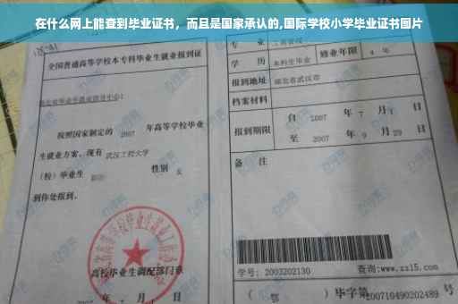 在什么网上能查到毕业证书，而且是国家承认的,国际学校小学毕业证书图片