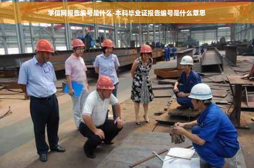 学信网报告编号是什么-本科毕业证报告编号是什么意思