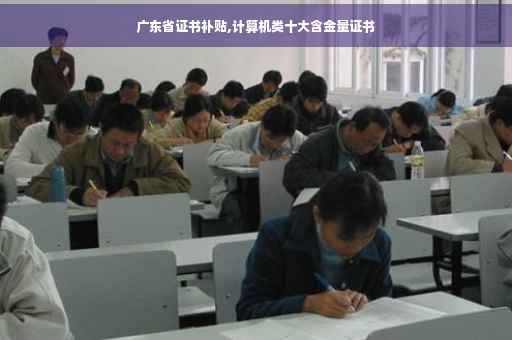广东省证书补贴,计算机类十大含金量证书