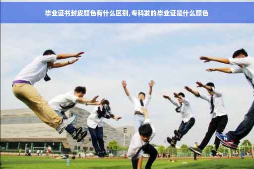 毕业证书封皮颜色有什么区别,专科发的毕业证是什么颜色