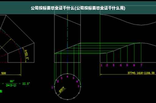 公司投标要毕业证干什么(公司投标要毕业证干什么用)