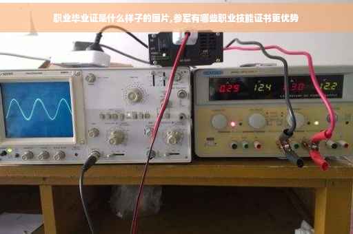 职业毕业证是什么样子的图片,参军有哪些职业技能证书更优势