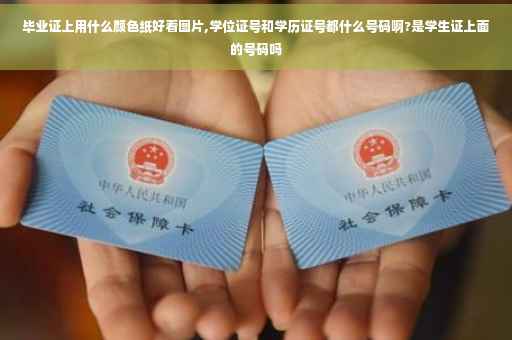 毕业证上用什么颜色纸好看图片,学位证号和学历证号都什么号码啊?是学生证上面的号码吗