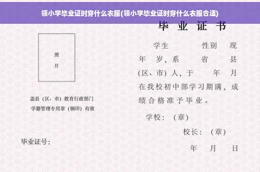 领小学毕业证时穿什么衣服(领小学毕业证时穿什么衣服合适)