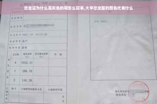 毕业证为什么是灰色的呢怎么回事,大学毕业服的颜色代表什么