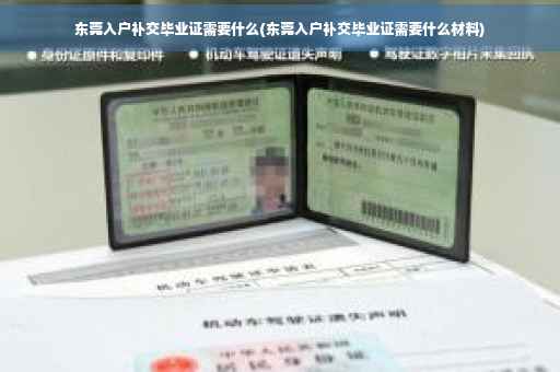 东莞入户补交毕业证需要什么(东莞入户补交毕业证需要什么材料)