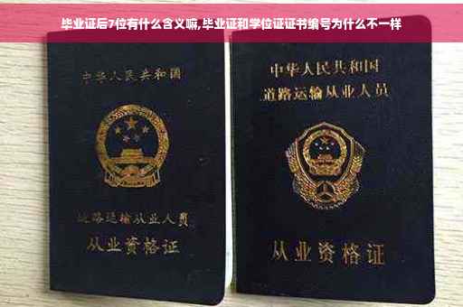 毕业证后7位有什么含义嘛,毕业证和学位证证书编号为什么不一样