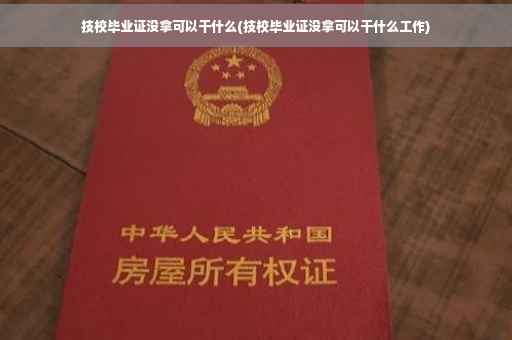 技校毕业证没拿可以干什么(技校毕业证没拿可以干什么工作)
