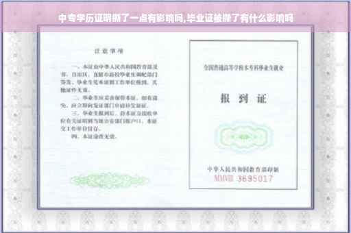 中专学历证明撕了一点有影响吗,毕业证被撕了有什么影响吗