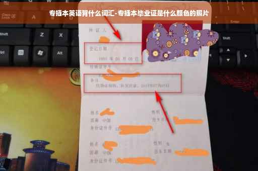 专插本英语背什么词汇-专插本毕业证是什么颜色的照片