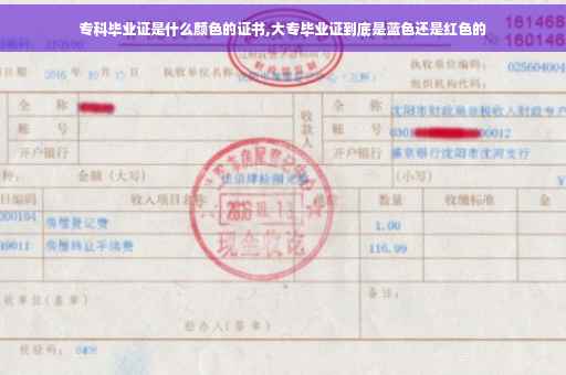 专科毕业证是什么颜色的证书,大专毕业证到底是蓝色还是红色的