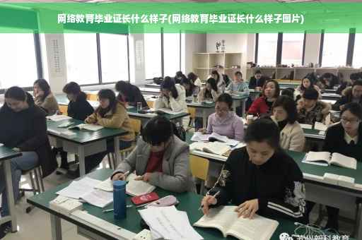 网络教育毕业证长什么样子(网络教育毕业证长什么样子图片)