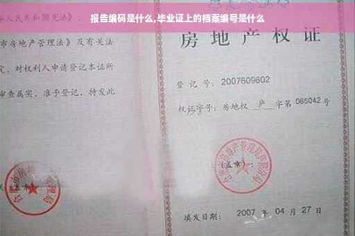 报告编码是什么,毕业证上的档案编号是什么