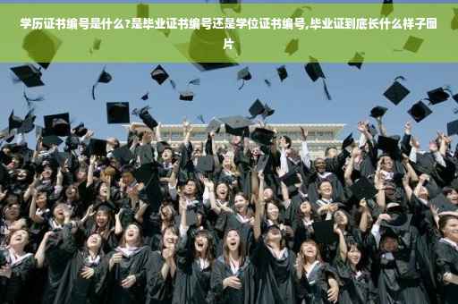 学历证书编号是什么?是毕业证书编号还是学位证书编号,毕业证到底长什么样子图片