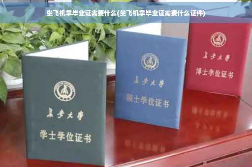坐飞机拿毕业证需要什么(坐飞机拿毕业证需要什么证件)