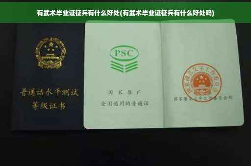 有武术毕业证征兵有什么好处(有武术毕业证征兵有什么好处吗)