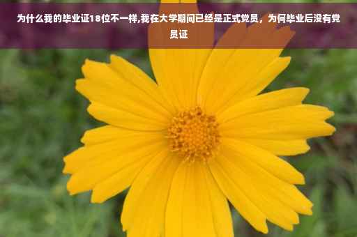 为什么我的毕业证18位不一样,我在大学期间已经是正式党员，为何毕业后没有党员证