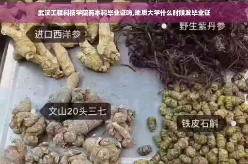 武汉工程科技学院有本科毕业证吗,地质大学什么时候发毕业证