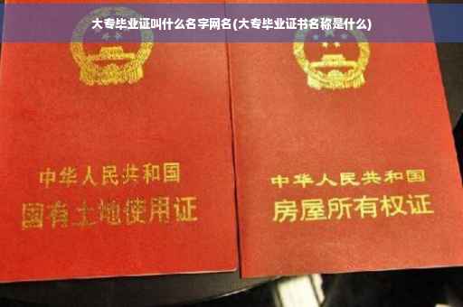 大专毕业证叫什么名字网名(大专毕业证书名称是什么)